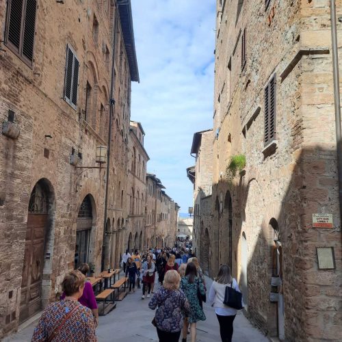 231_311778939_6190795164264352_3050814301593180083_n