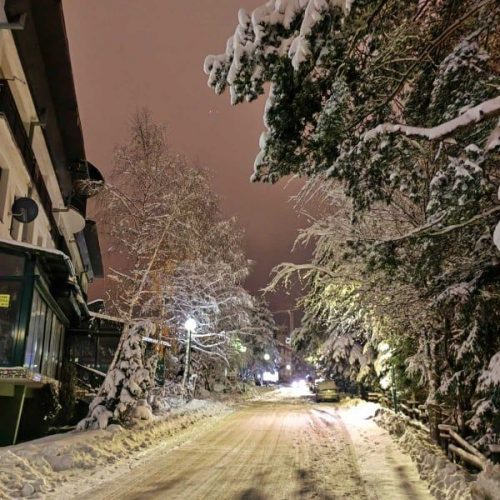 263476236_558777329260022_5505024143285363203_n