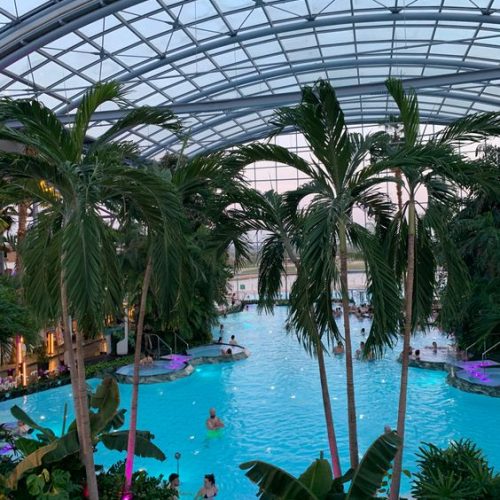 2776098313bb91d5245e964cb38b80ef-1