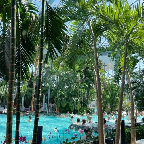 2b970adc4857384292033e1c959f642c