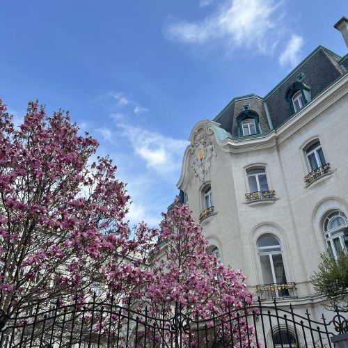 490128751_1138702094968418_3047800273557082257_n