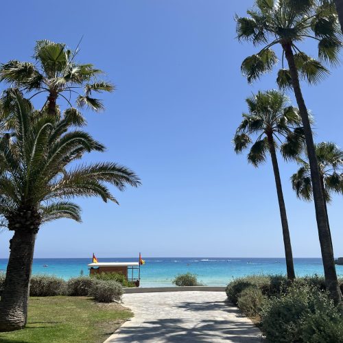 495171581_1177730814398879_4249329698528069579_n