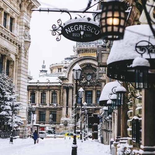 5123f3cd57df11ff30b0526d777c9937