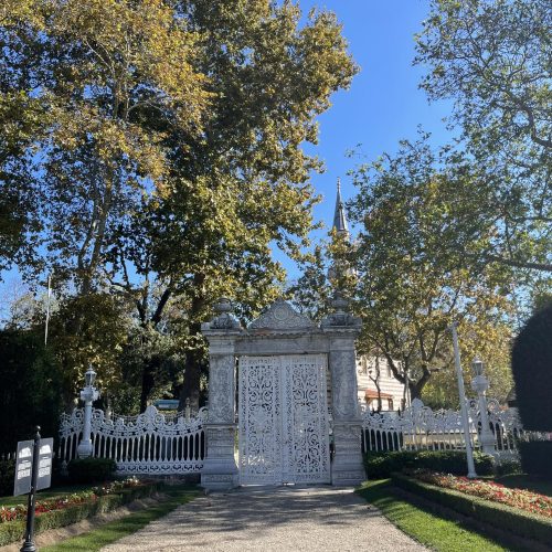 571334376_1313782007460425_3610868481868134314_n