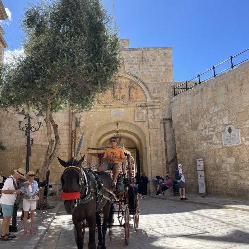 644132283_1417199617118663_503563823882936471_n