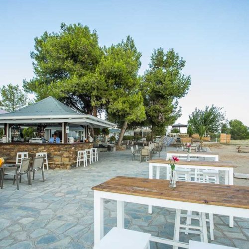 coral-blue-beach-bar-43106