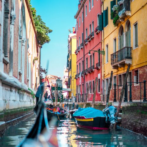 evan-bollag-DHLQxYw1GkQ-unsplash-scaled