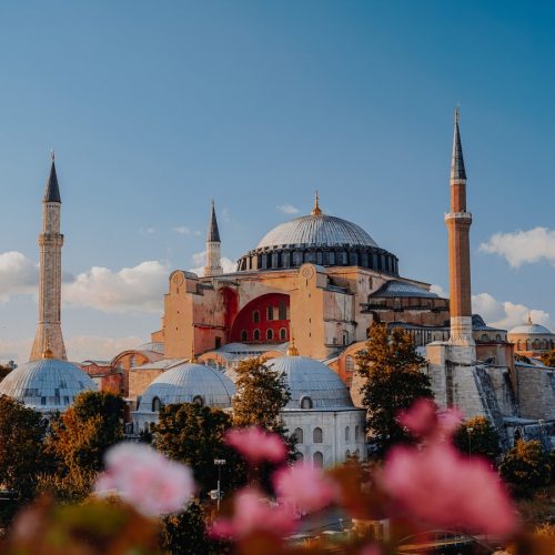 photo-1601163130717-627cde53c1de