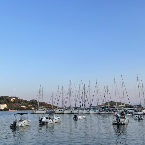 viber_image_2025-03-25_15-43-38-447