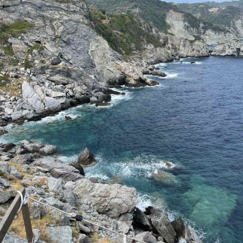 viber_image_2025-03-25_15-43-41-048