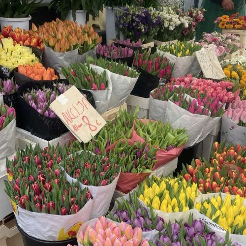 viber_image_2025-04-07_16-41-38-995