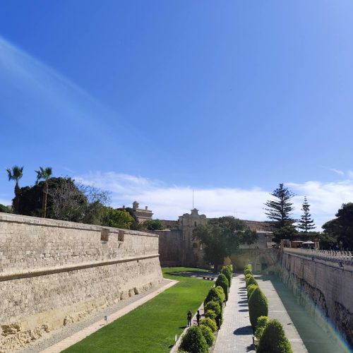 viber_image_2025-04-25_12-21-43-823