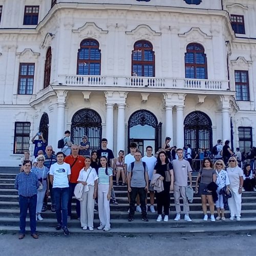 viber_image_2025-09-20_14-22-16-733