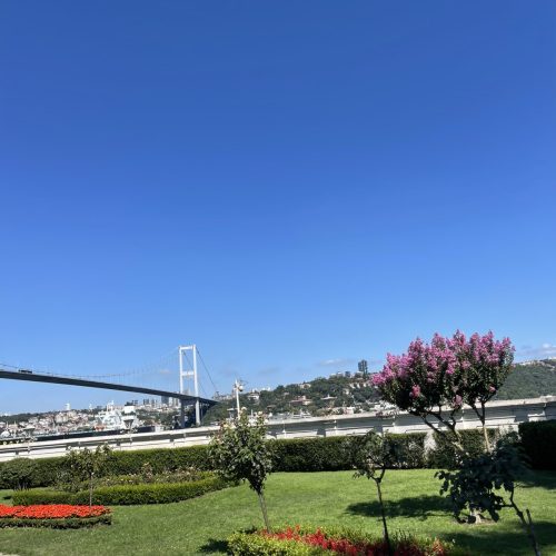 viber_image_2025-10-14_13-26-48-584