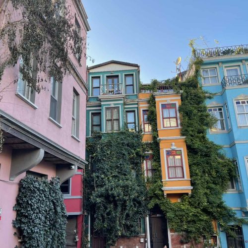 viber_image_2026-02-06_14-57-41-432