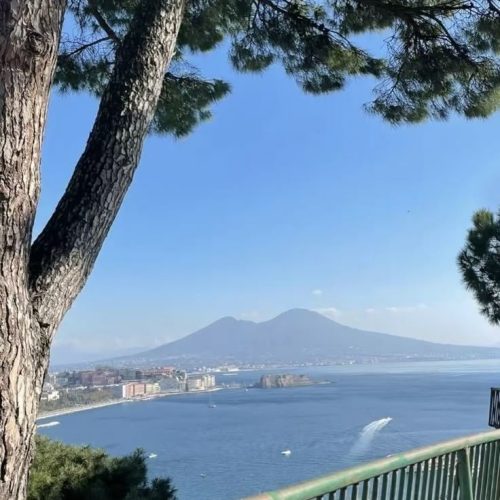 viber_image_2026-03-25_17-19-36-545